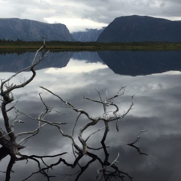 Gros Morne