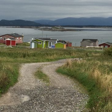 Weather & Cow Head NL