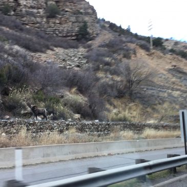 Paying the Price in Utah