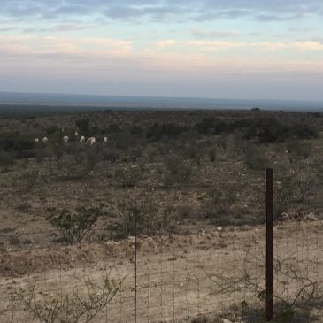 Fort Stockton in West Texas