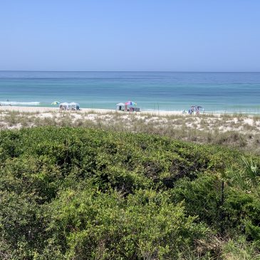 Florida Come and Gone