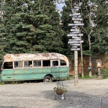 Into the wild