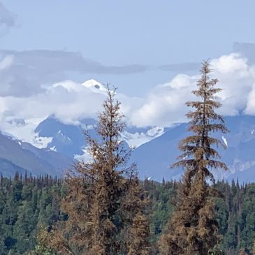 Alaska at last!