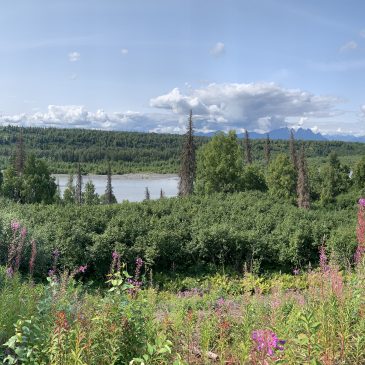Denali National Park