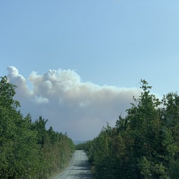Not Clouds